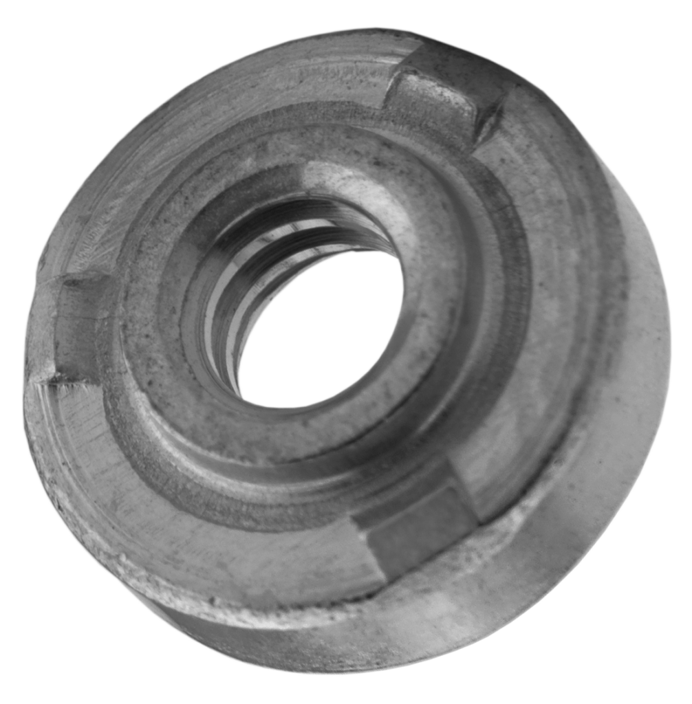 WN-Nuts-1006x1024-1